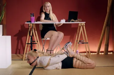 DarkPrincess666 – Intern performance review Restrained